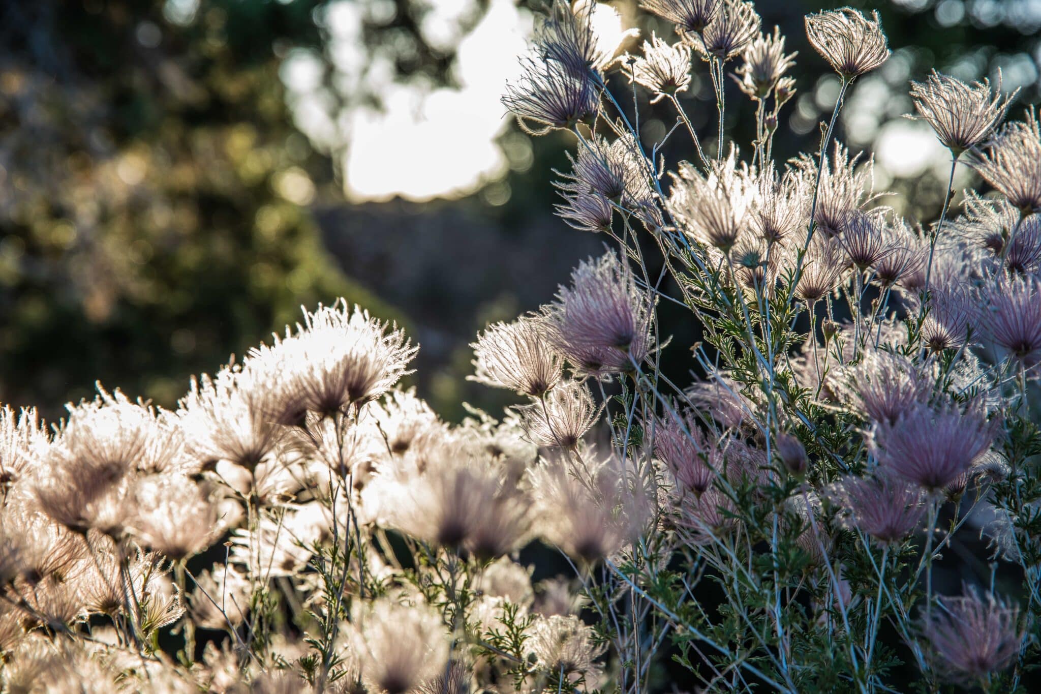 Phīla Engaged Giving – philanthropic advisors helping individuals, families, and foundations give with purpose, clarity, and social impact