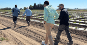 Photo courtesy of Viva Farms.